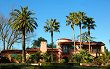 vacation homes for auction